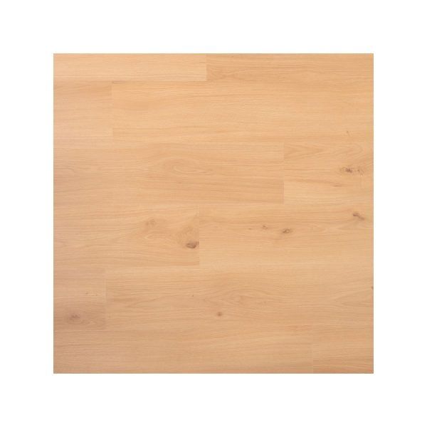 Douwes Dekker Spontaan Plank Dragon 04952