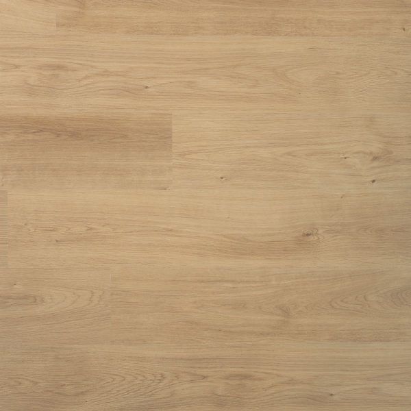 Douwes Dekker Spontaan Plank Nootmuskaat 04953
