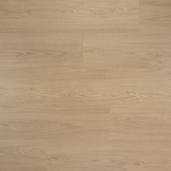 Douwes Dekker Sympathiek Truffel 03480