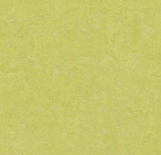Forbo Marmoleum Click 30x30cm Spring Buds 333885