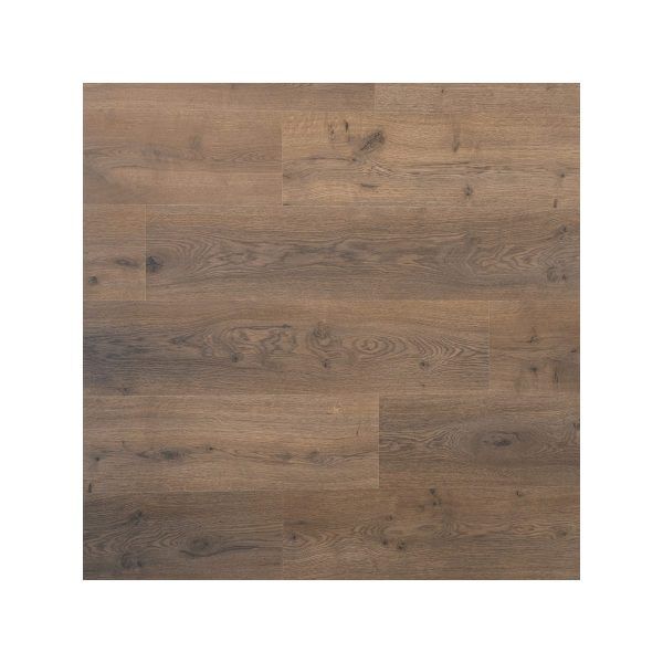 Douwes Dekker Spontaan Plank Dille 04951
